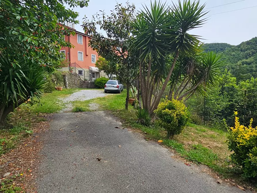Immagine 11 di Casa semindipendente in vendita  a Mezzanego