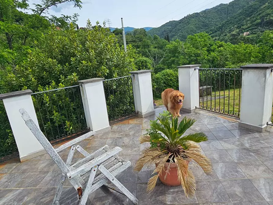 Immagine 42 di Casa semindipendente in vendita  a Mezzanego