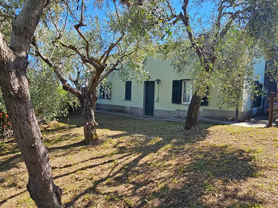 Immagine 36 di Casa semindipendente in vendita  a Chiavari