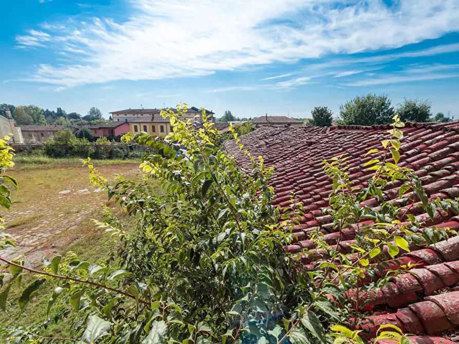 Immagine 50 di Rustico / casale in vendita  a Cremona