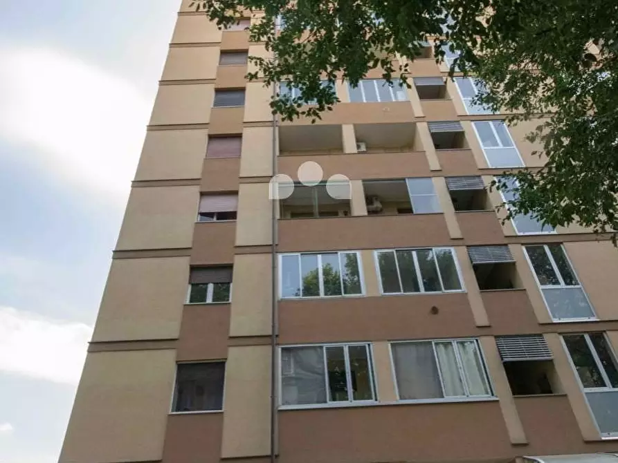 Immagine 3 di Appartamento in affitto  in Via Esculapio 4 a Milano