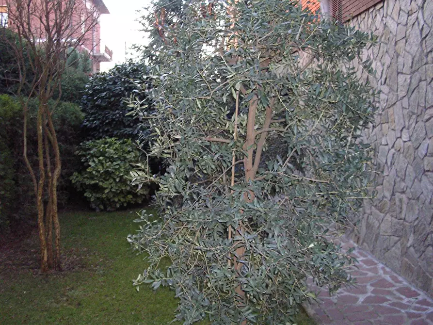 Immagine 55 di Casa indipendente in vendita  a Sassuolo