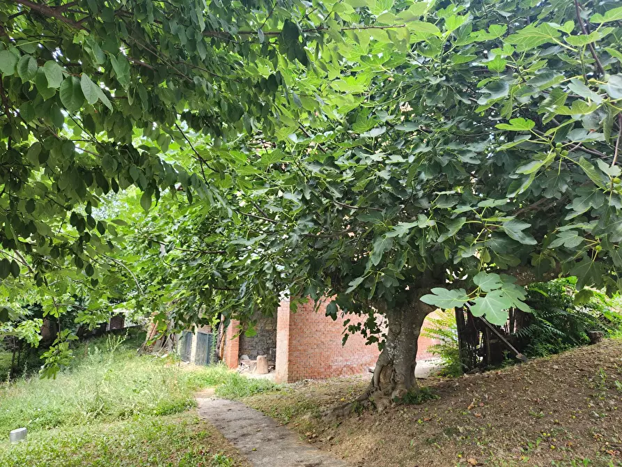 Immagine 2 di Rustico / casale in vendita  a Prignano Sulla Secchia