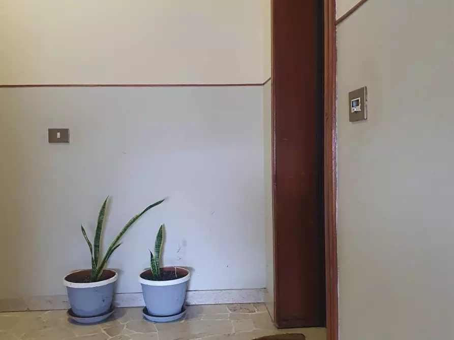 Immagine 12 di Appartamento in vendita  a Sassuolo