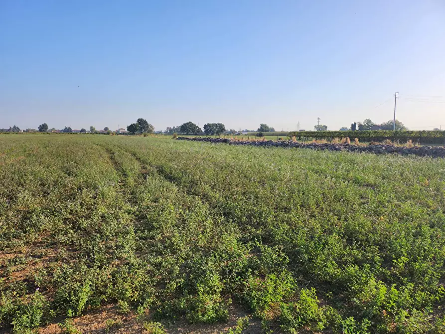 Immagine 1 di Terreno agricolo in vendita  a Formigine