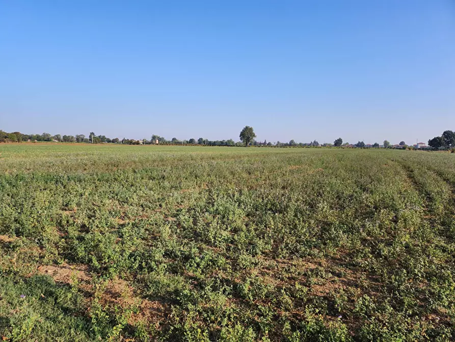 Immagine 3 di Terreno agricolo in vendita  a Formigine