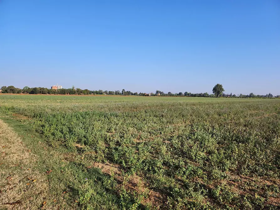 Immagine 4 di Terreno agricolo in vendita  a Formigine