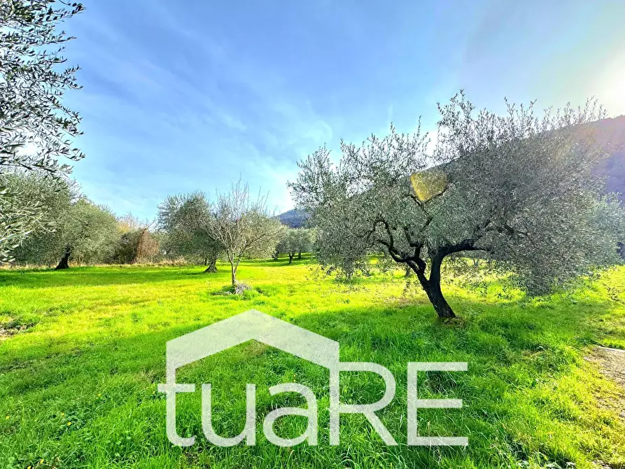 Immagine 20 di Terreno residenziale in vendita  in via di valle caprara a Castel Madama