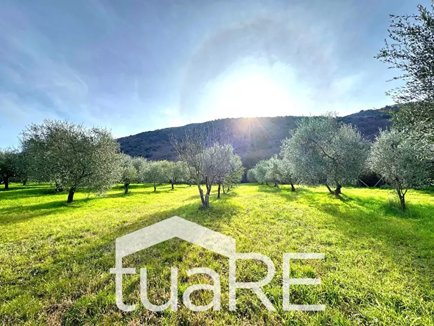 Immagine 5 di Villa in vendita  in via di valle caprara a Castel Madama