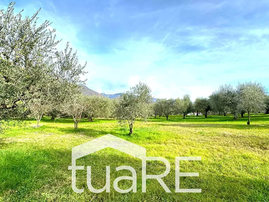 Immagine 40 di Villa in vendita  in via di valle caprara a Castel Madama