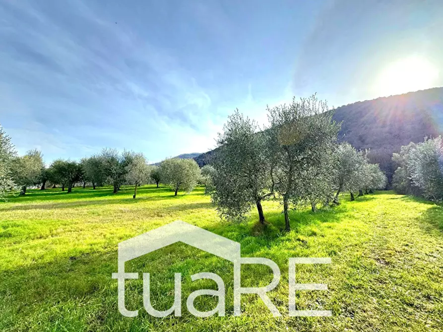 Immagine 41 di Villa in vendita  in via di valle caprara a Castel Madama