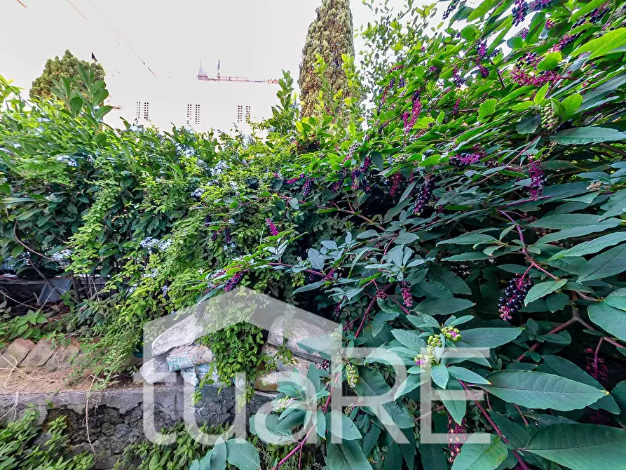 Immagine 18 di Appartamento in vendita  in Via Dei Prati Della Farnesina a Roma