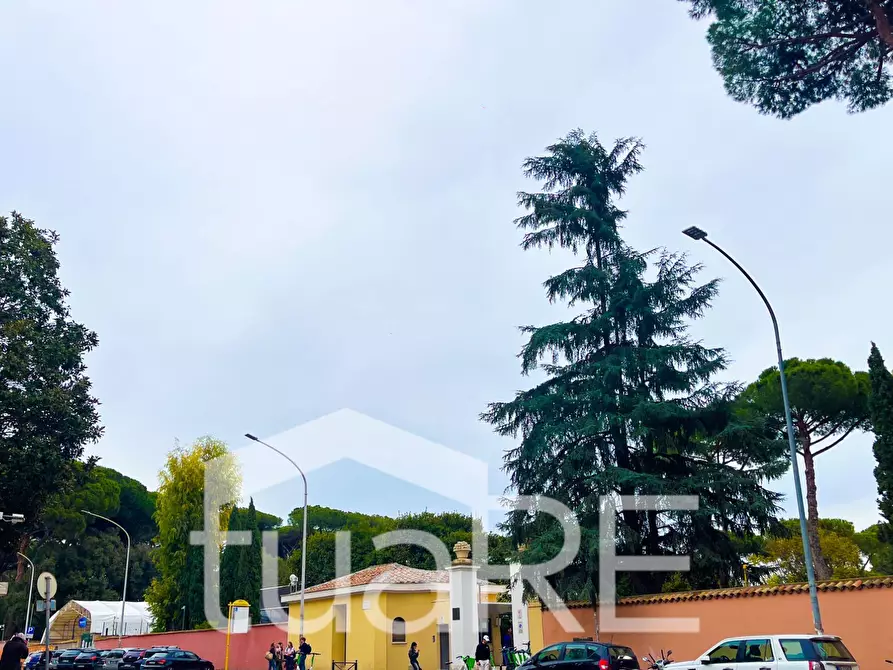 Immagine 7 di Negozio in vendita  in Piazza Ungheria a Roma