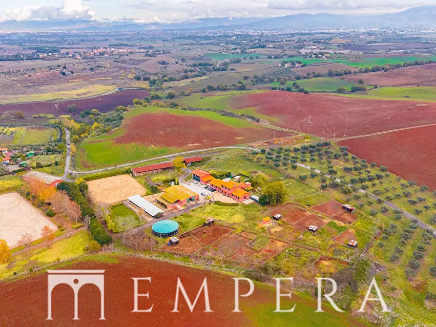 Immagine 6 di Appartamento in vendita  in Via Del Boschetto Della Bella Cenci a Roma