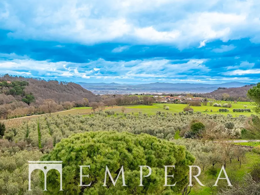 Immagine 37 di Villa in vendita  in Via dei Lilla a Montepulciano