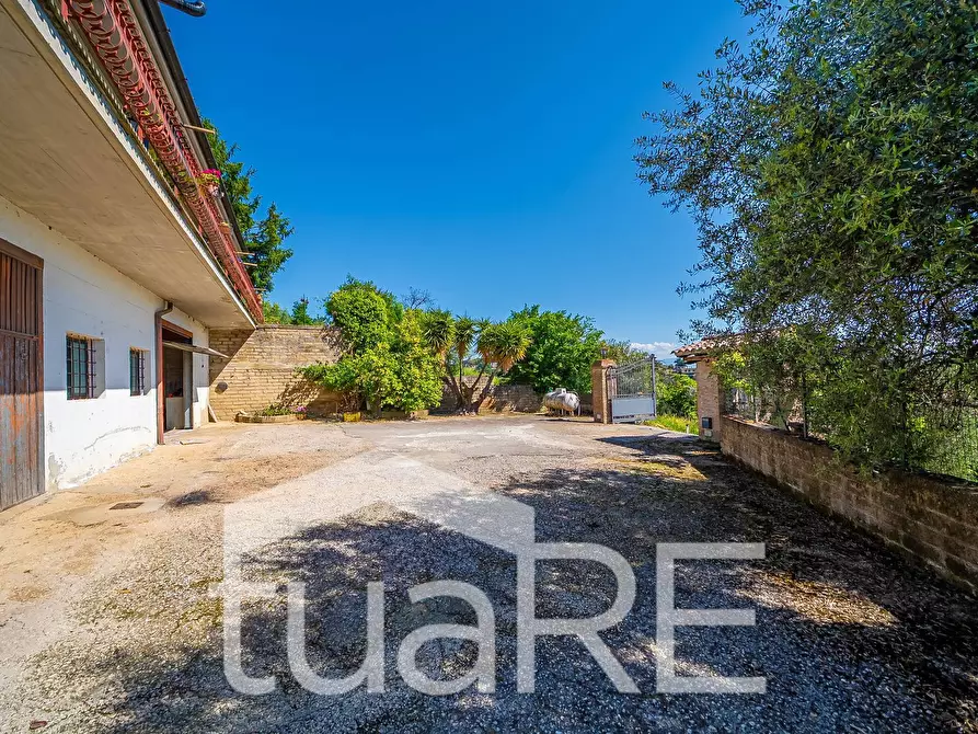 Immagine 58 di Villa in vendita  in VIA SANTA LUCIA a Morlupo