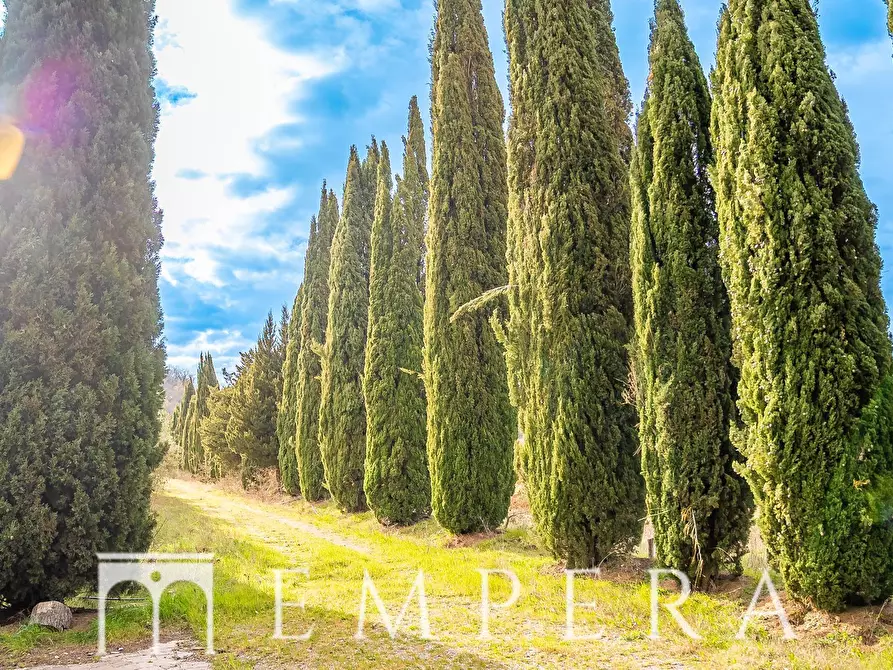 Immagine 7 di Palazzo in vendita  in Pian dei Ponti a Chiusi