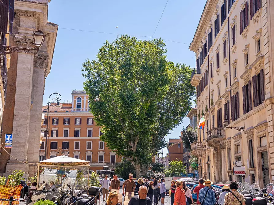 Immagine 6 di Appartamento in vendita  in Via Del Portico D'ottavia a Roma
