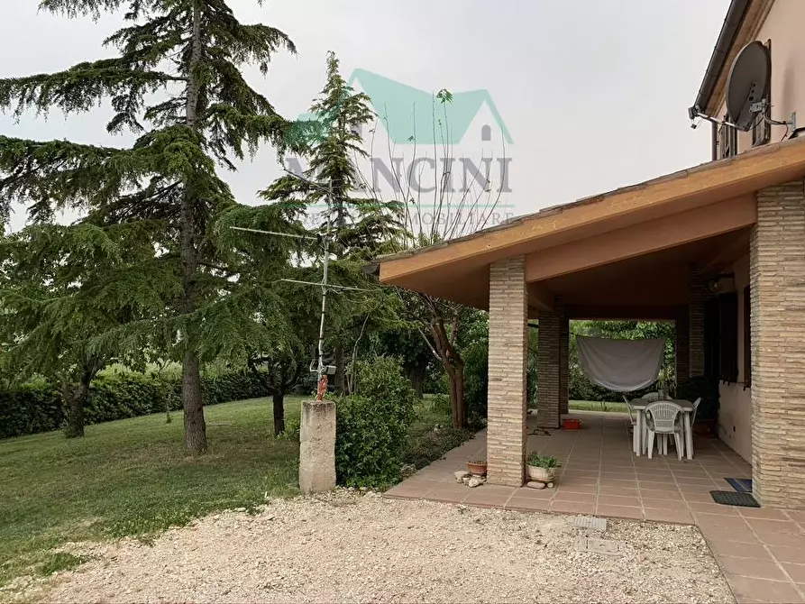 Immagine 1 di Casa indipendente in vendita  in SERRA 10 a Belvedere Ostrense