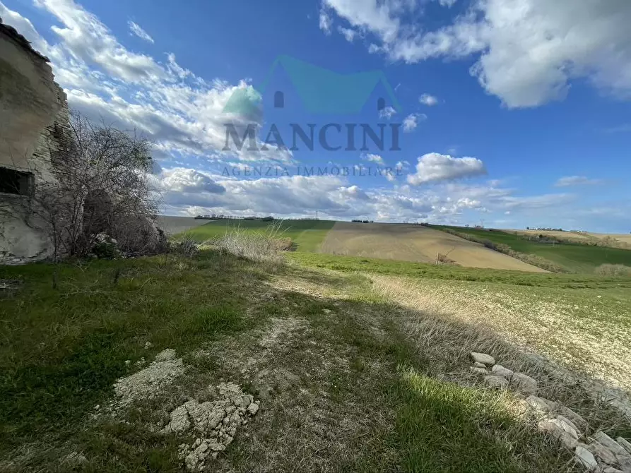 Immagine 11 di Rustico / casale in vendita  in CASTELLETTA 148 a Chiaravalle