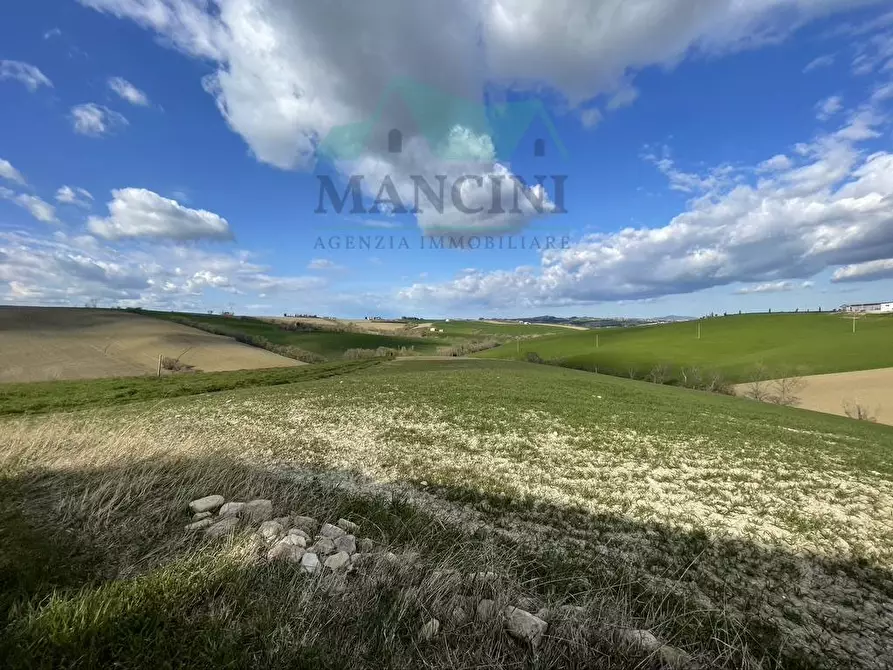 Immagine 12 di Rustico / casale in vendita  in CASTELLETTA 148 a Chiaravalle