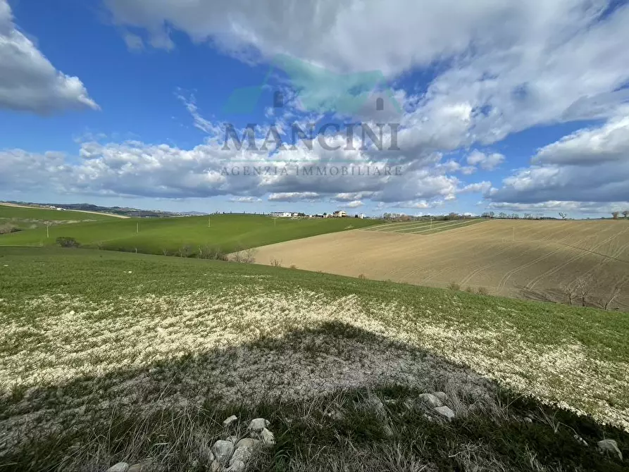 Immagine 13 di Rustico / casale in vendita  in CASTELLETTA 148 a Chiaravalle