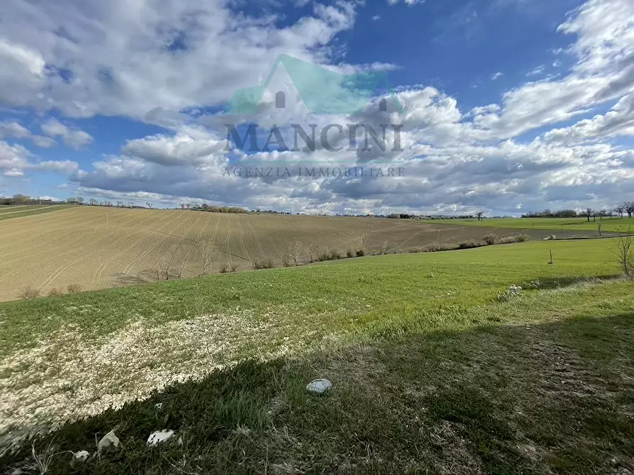 Immagine 14 di Rustico / casale in vendita  in CASTELLETTA 148 a Chiaravalle