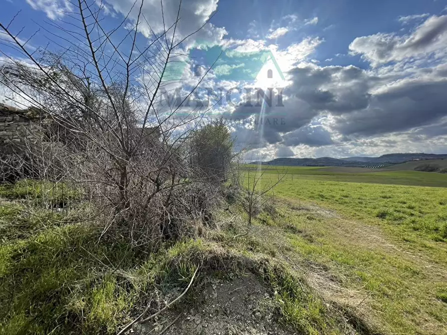 Immagine 15 di Rustico / casale in vendita  in CASTELLETTA 148 a Chiaravalle