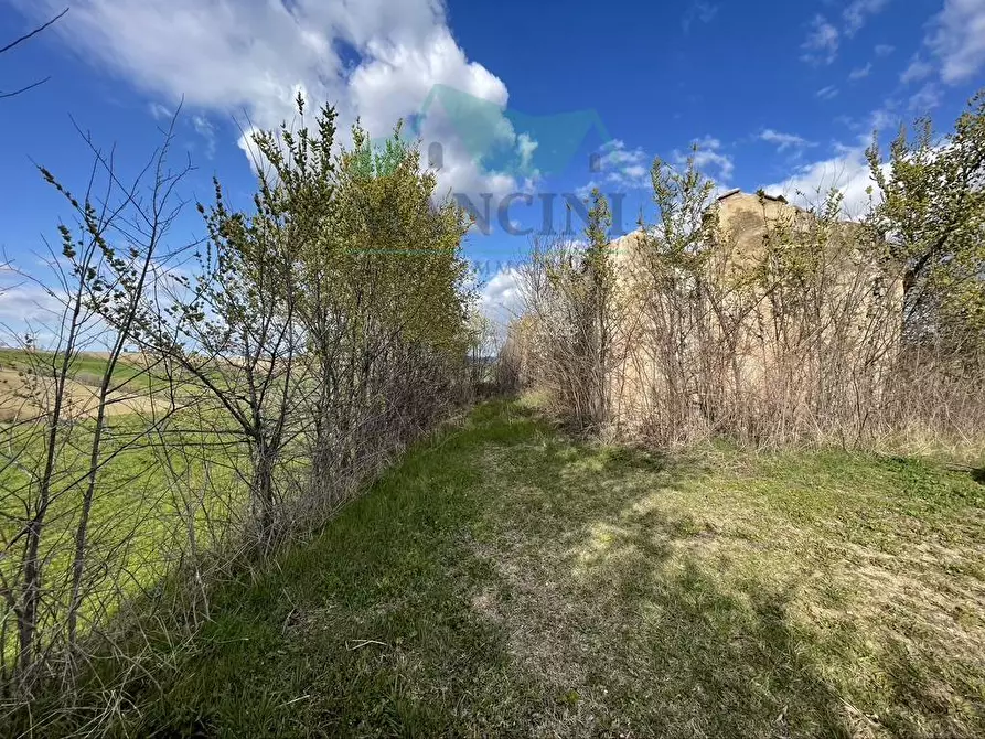 Immagine 7 di Rustico / casale in vendita  in CASTELLETTA 148 a Chiaravalle