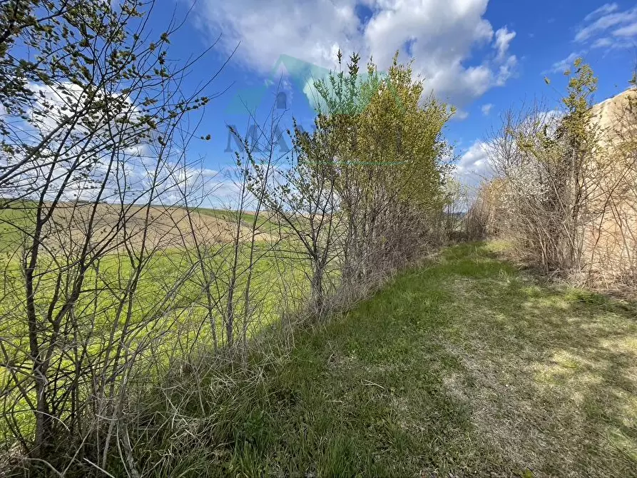 Immagine 8 di Rustico / casale in vendita  in CASTELLETTA 148 a Chiaravalle