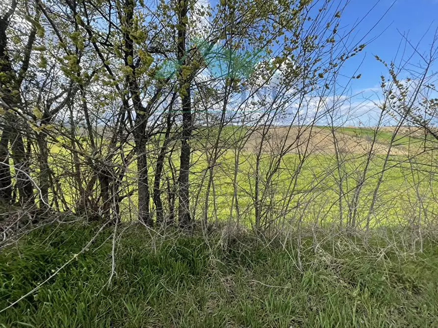 Immagine 9 di Rustico / casale in vendita  in CASTELLETTA 148 a Chiaravalle