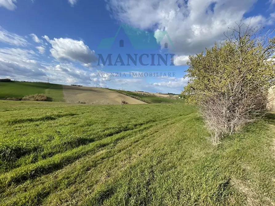 Immagine 10 di Rustico / casale in vendita  in CASTELLETTA 148 a Chiaravalle