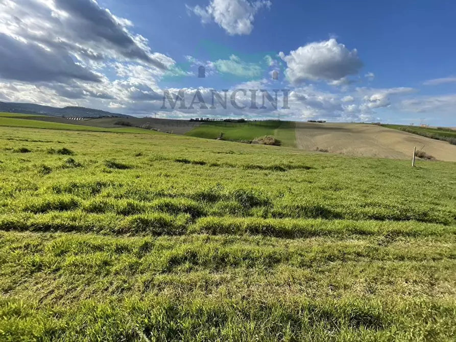 Immagine 16 di Rustico / casale in vendita  in CASTELLETTA 148 a Chiaravalle