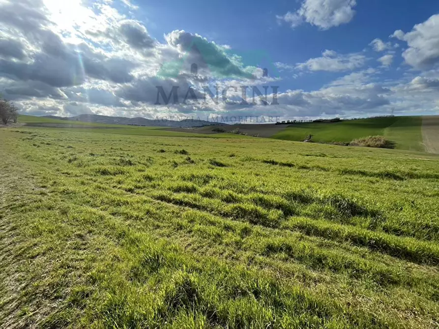 Immagine 17 di Rustico / casale in vendita  in CASTELLETTA 148 a Chiaravalle