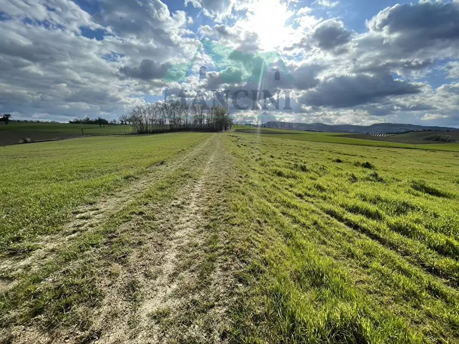 Immagine 18 di Rustico / casale in vendita  in CASTELLETTA 148 a Chiaravalle