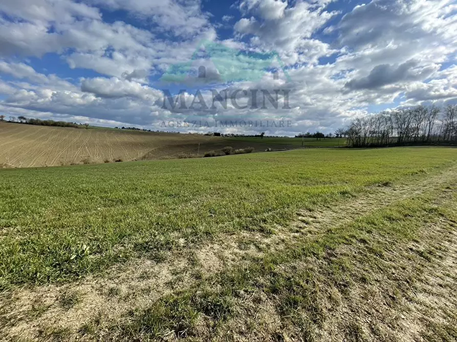 Immagine 19 di Rustico / casale in vendita  in CASTELLETTA 148 a Chiaravalle