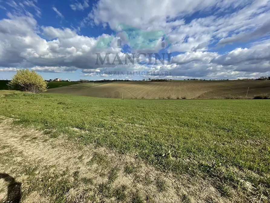 Immagine 20 di Rustico / casale in vendita  in CASTELLETTA 148 a Chiaravalle