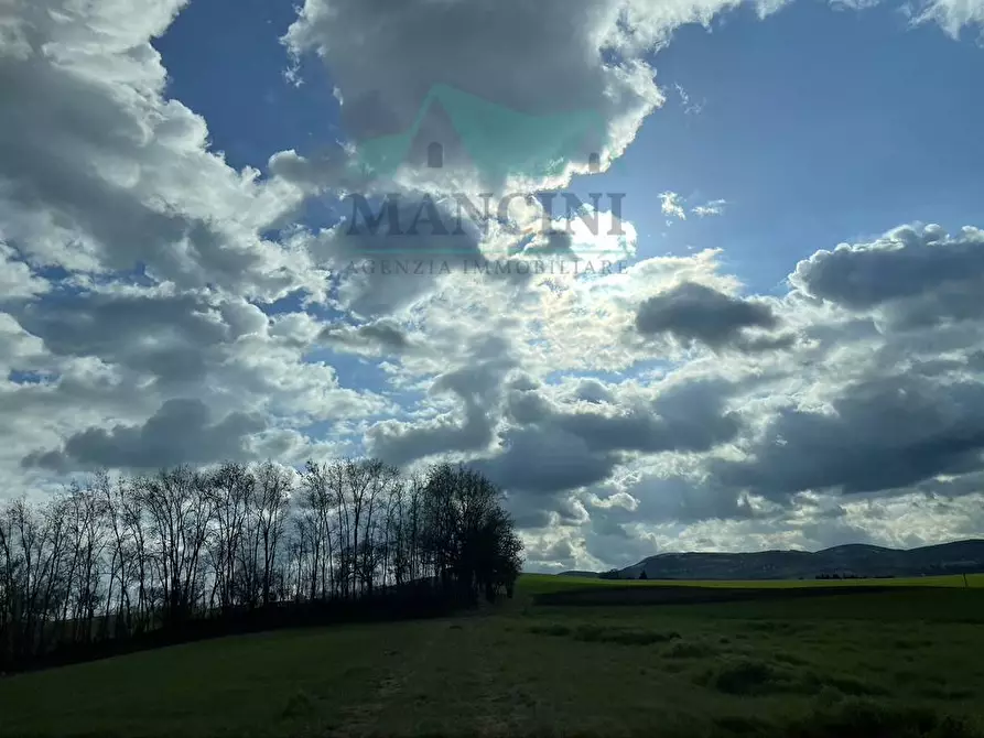 Immagine 21 di Rustico / casale in vendita  in CASTELLETTA 148 a Chiaravalle