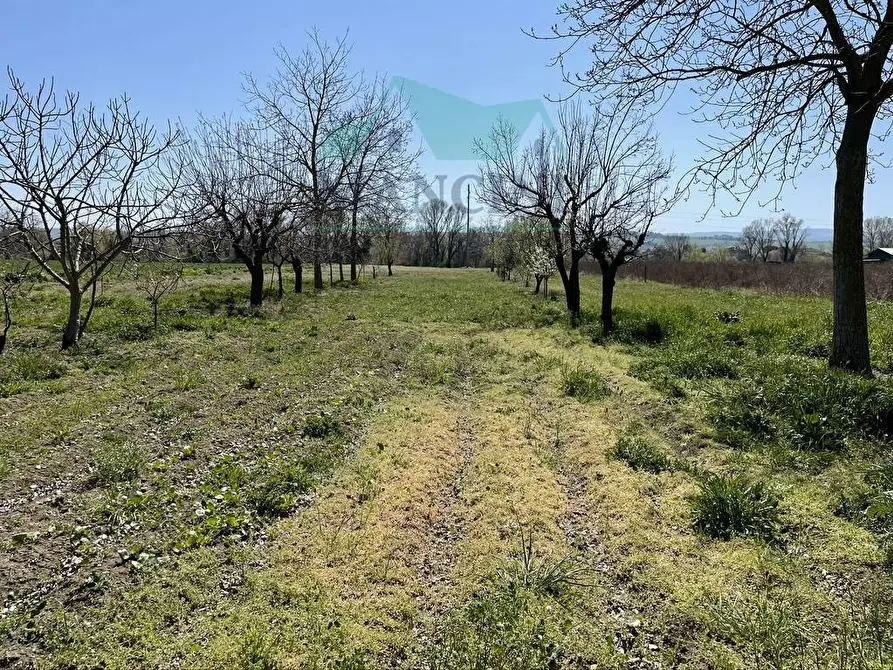 Immagine 1 di Terreno agricolo in vendita  in spina 8 a Jesi