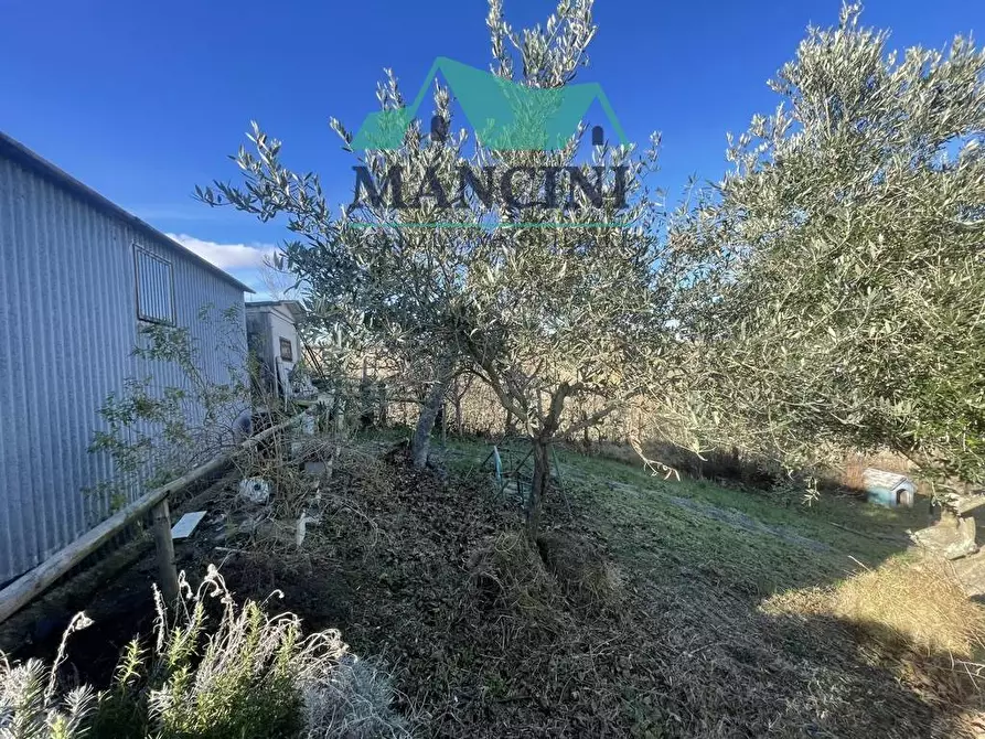 Immagine 28 di Casa indipendente in vendita  in VIA MADONNA DEL SOLE 40 a Castelplanio