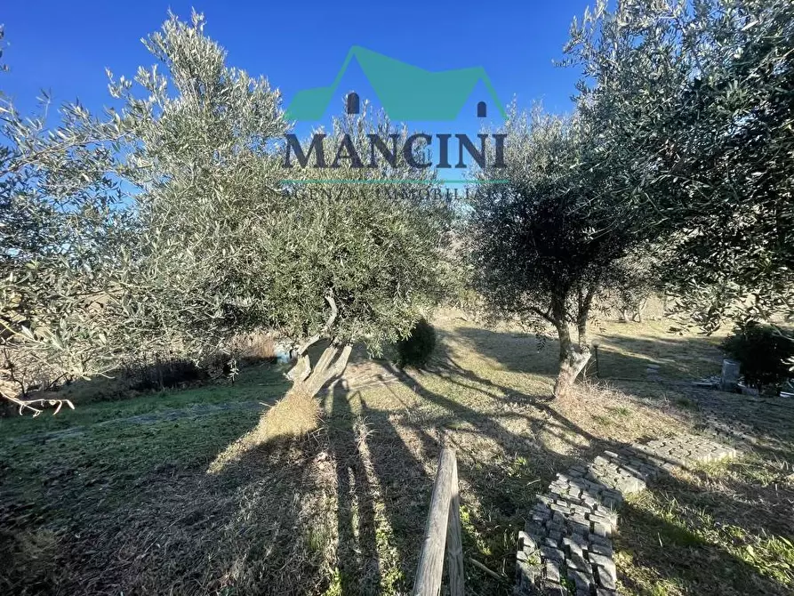 Immagine 29 di Casa indipendente in vendita  in VIA MADONNA DEL SOLE 40 a Castelplanio