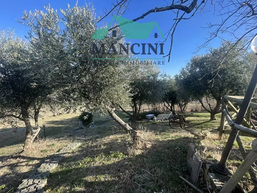 Immagine 30 di Casa indipendente in vendita  in VIA MADONNA DEL SOLE 40 a Castelplanio