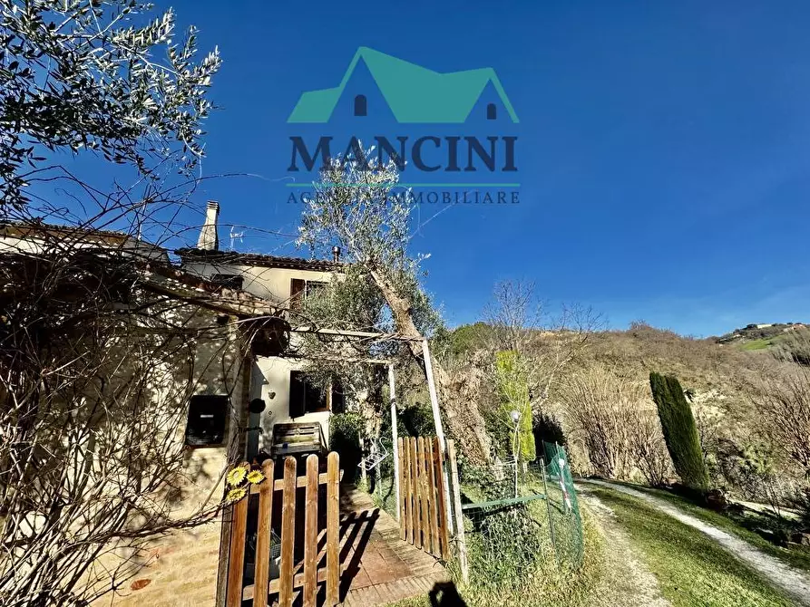 Immagine 26 di Casa indipendente in vendita  a Belvedere Ostrense