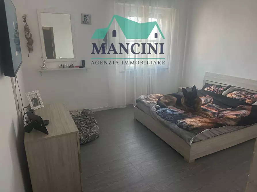 Immagine 26 di Appartamento in vendita  in VIA CROCE a Monte San Vito