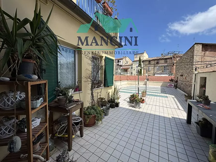 appartamento in affitto a Jesi