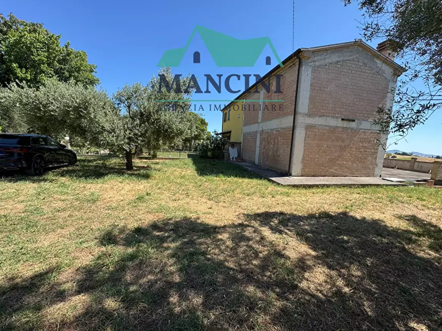 Immagine 12 di Casa indipendente in vendita  in FEDERICO CONTI 3 a Belvedere Ostrense