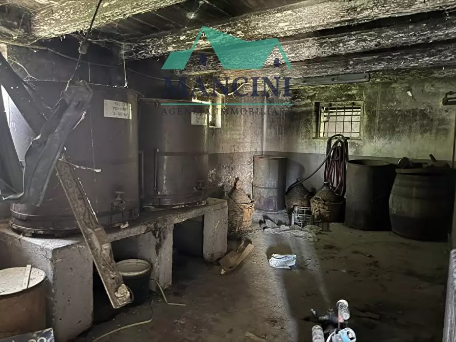 Immagine 33 di Casa indipendente in vendita  in MONSANO a Belvedere Ostrense