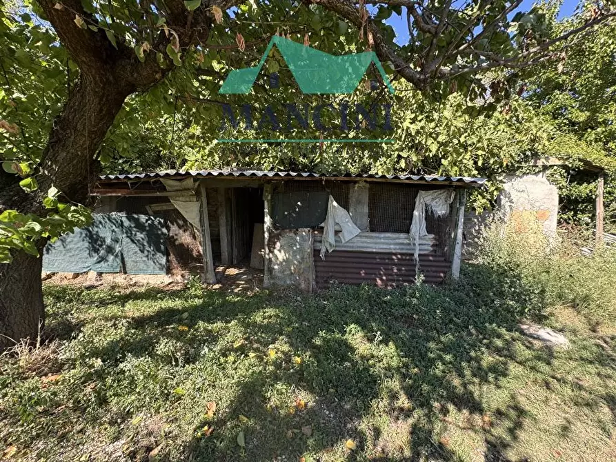 Immagine 14 di Casa indipendente in vendita  in MONSANO a Belvedere Ostrense