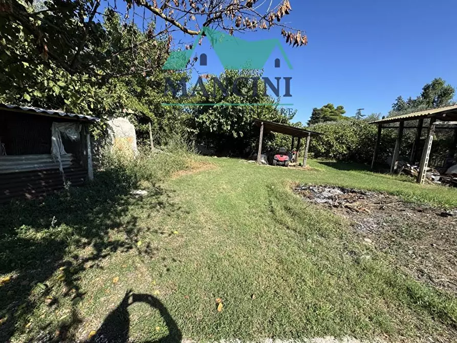 Immagine 40 di Casa indipendente in vendita  in MONSANO a Belvedere Ostrense