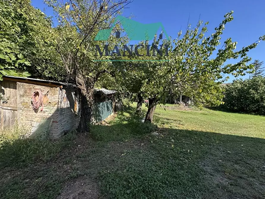 Immagine 3 di Casa indipendente in vendita  in MONSANO a Belvedere Ostrense